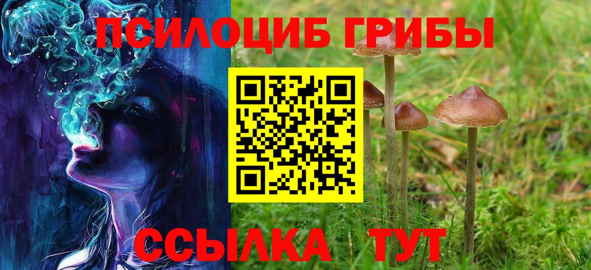 Псилоцибиновые грибы Magic Shrooms Первоуральск